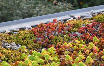 the cost of Langloan green roof installation