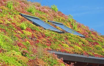 Langloan living roof systems