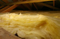 Langloan pitch roof insulation